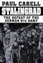 Stalingrad: The Defeat of the German 6th Army