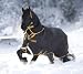 Horseware