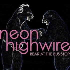 Bear At the Bus Stop