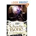Charlie Bone and the Shadow of Badlock (Children of the Red King)