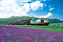 めざせ!パズルの達人シリーズ 1000ピース ラベンダー畑を旅するノロッコ号 11-337