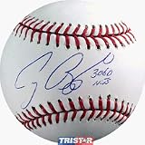 Craig Biggio Autographed MLB Baseball with 3060 Hits Inscription