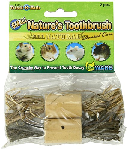 Ware Pine Wood Natures Toothbrush Small Pet Chew Treat, Small