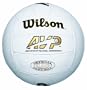 Wilson Leather AVP Beach Volleyball