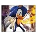 Jigsaw Puzzle Rectangular of Sonic the Hedgehog Portrait (Shadow the Hedgehog, Sega, Adventure, Shuffle, Blast, Triple Trouble, Drift, Unleashed, High Speed, Riders, Rivals, Rush, PS2, PS3, Dreamcast, XBox 360, Wii, PSP)