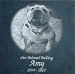 Laser Engraved Pet Memorial