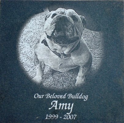 Childrens Toyshop  Pet Supplies : Laser Engraved Pet Memorial