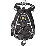CS Long Beach 49ers NCAA Mini Day Pack