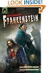 Frankenstein: The Graphic Novel