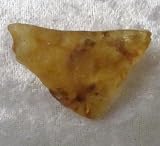 Raw Natural Amber Stone Gemstone Crystal Healing Rock Wiccan Supplies Not Tumbled