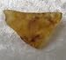 Raw Natural Amber Stone Gemstone Crystal Healing Rock Wiccan Supplies Not Tumbled