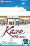 Kaze Hikaru, Vol. 12