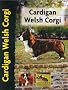 Cardigan Welsh Corgi (Petlove)