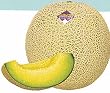 Melon Japanese Ichiba Kouji Seeds .5
