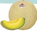 Melon Japanese Ichiba Kouji Seeds .5