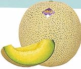 Melon Japanese Ichiba Kouji Seeds