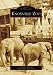Book Knoxville Zoo, TN (Images of America)