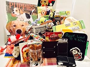 Puppy 40 Piece Starter Kit / Dog Holiday