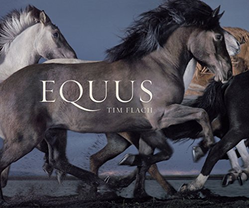 Equus (Mini) by Flach, Tim (March 17, 2015) Hardcover