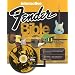 Interactive Fender Bible
