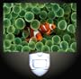 Clownfish Pair Decorative Night Light