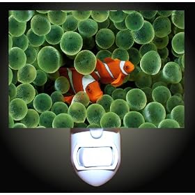 Clownfish Pair Decorative Night Light