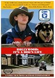 Hollywood: It`s a Dog`s Life
