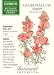 Scarlet Globemallow Botanic Gardens Series Seeds 50 Seeds