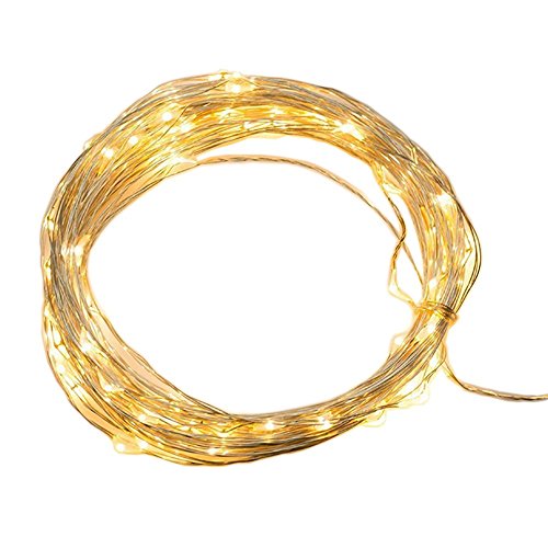 YINUO LIGHT LED SopoTek 13ft 40 LEDS Starry Lights Fairy Lights Copper LED Lights Strings AA Battery Powered Ultra Thin String Wire 40 Leds Warm white
