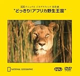 �ɤä���!���եꥫ�������� ~���� �ʥ���ʥ� ��������ե��å� ̾����~(PPV-DVD)