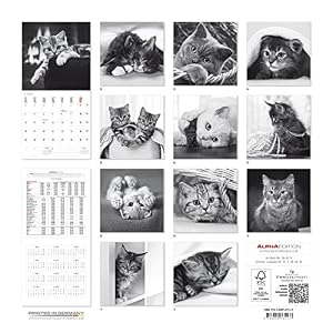 Alpha Edition 16.0113 Cats By Sabine Rath Calendario da Muro 2016, 30 X 60 cm Aperto