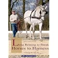 Long Reining to Break Horses to Harness: Training the Safe Way