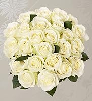 Autograph Avalanche+ Roses - Two Dozen
