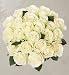 (00616546) Autograph Avalanche+ Roses - Two Dozen in Miscellaneous