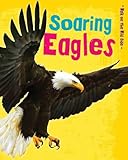 Soaring eagles