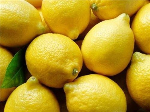 Organic Lemons - 17-20 Lb Case