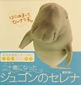 二十歳になったジュゴンのセレナ