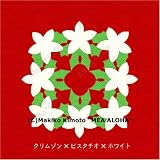 MeaAloha ハワイアンキルト・キット ポインセチア/クリムゾン×ピスタチオ×ホワイトの画像