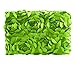 Buytra Baby Photography Props 3D Rose Flower Backdrop Beanbag Blanket Rug