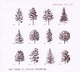 Nervous Nellie – Why Dawn Is Called Mourning