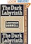 Dark Labyrinth