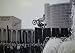 Evel Knievel Autographed 20x30 Photo - Caesars Palace Jump B&W - LE