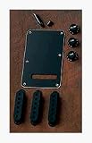 Fender® Stratocaster® Accessory Kit - Black