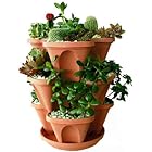 Garden & Outdoors<br>Up to 50% off