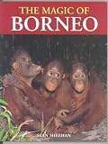 Magic of Borneo