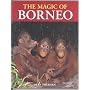 Magic of Borneo