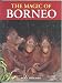 Magic of Borneo