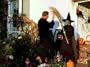 DIY Halloween 102