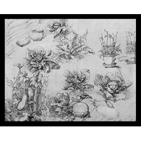 Abraham Bloemaert (Study Sheet with garden plants) Gold Wood-Mounted Art Poster Print - 13