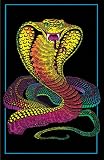 BLACKLIGHT KING COBRA STRIKE CURLED 23 x35 POSTER 8906
